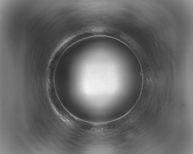 X0000066990728200603241315