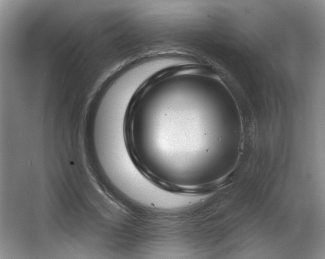 X0000066990732200603241315