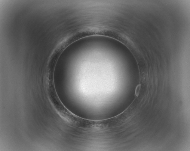 X0000066990736200603241315