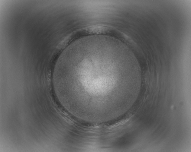X0000066990737200603241315