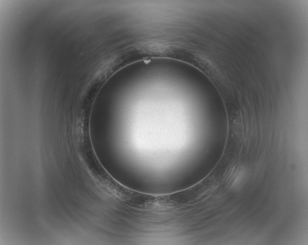 X0000066990739200603241315