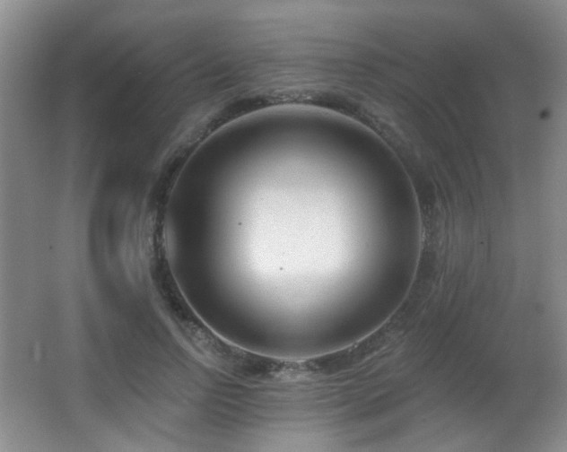 X0000066990742200603241315