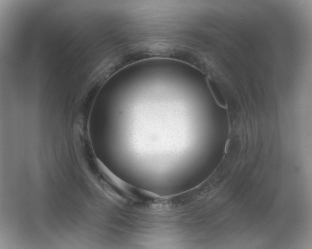 X0000066990744200603241316