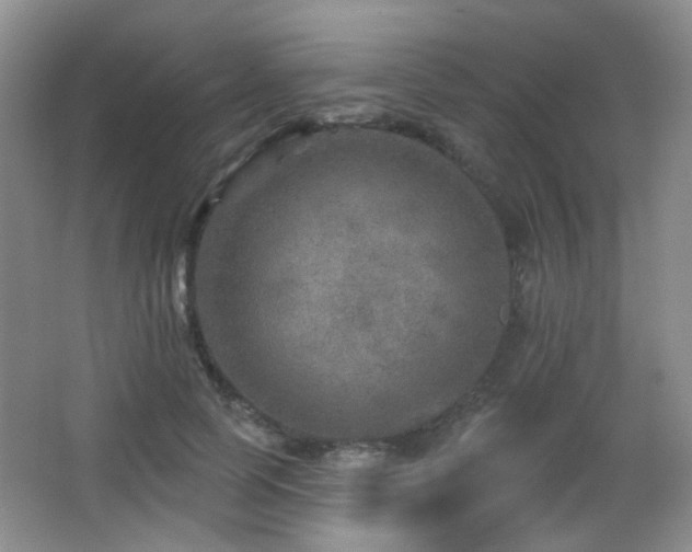 X0000066990745200603241316