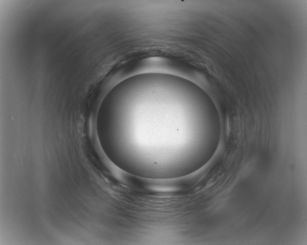 X0000066990750200603241316