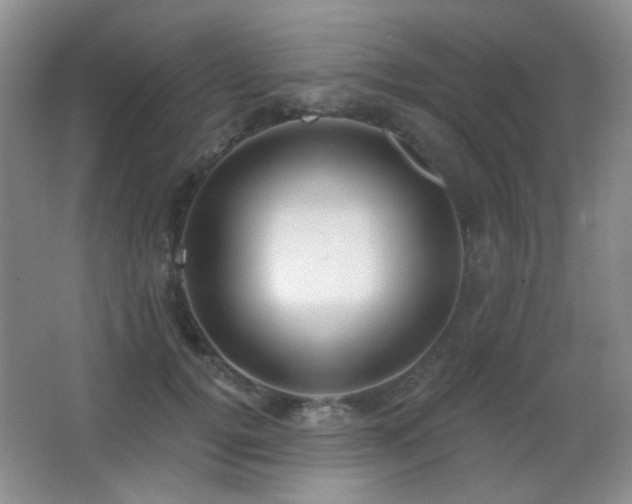 X0000066990752200603241316