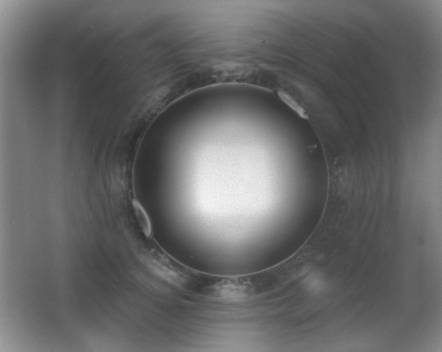 X0000066990756200603241316