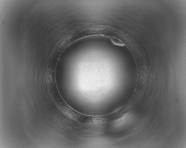 X0000066990758200603241316