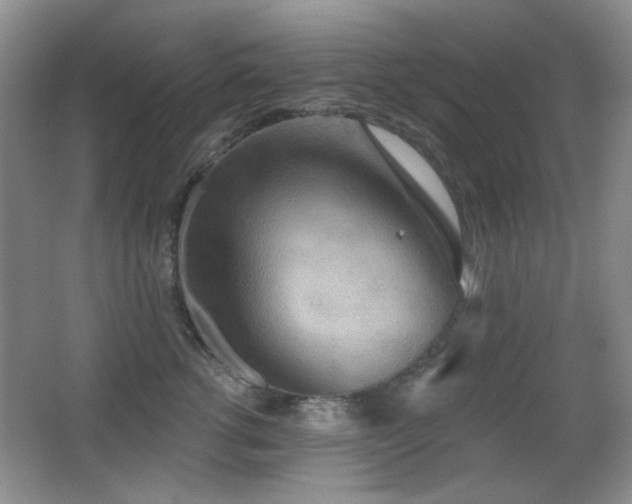 X0000066990762200603241316