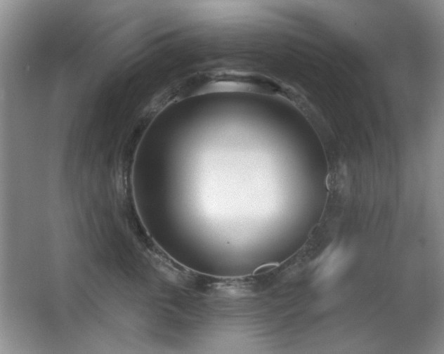 X0000066990763200603241316