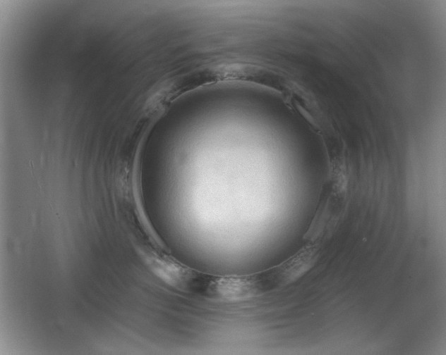 X0000066990766200603241316