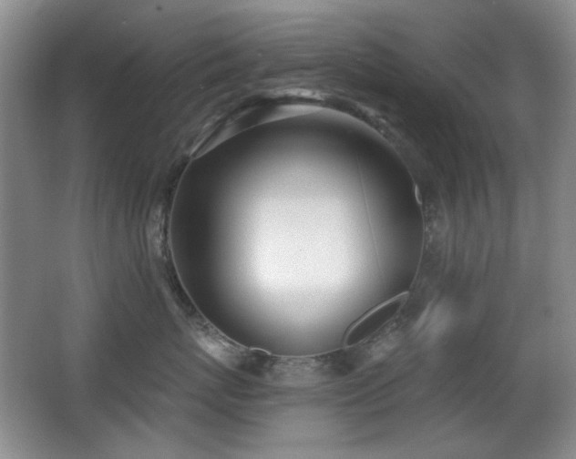 X0000066990767200603241316