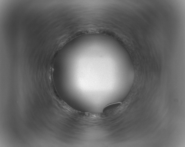 X0000066990768200603241316