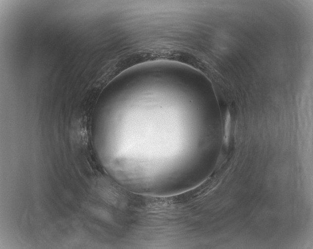 X0000066990771200603241315