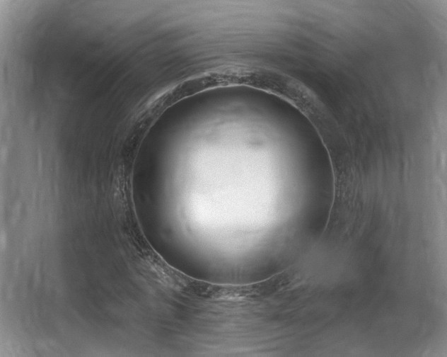 X0000066990773200603241315