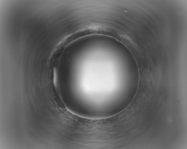 X0000066990776200603241315