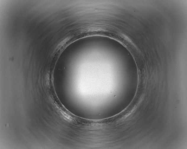 X0000066990777200603241315