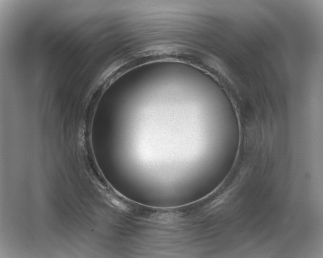 X0000066990778200603241315