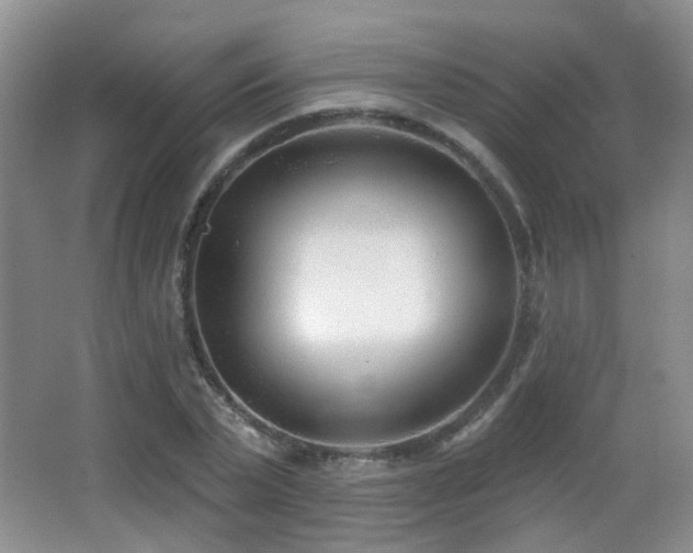 X0000066990783200603241315