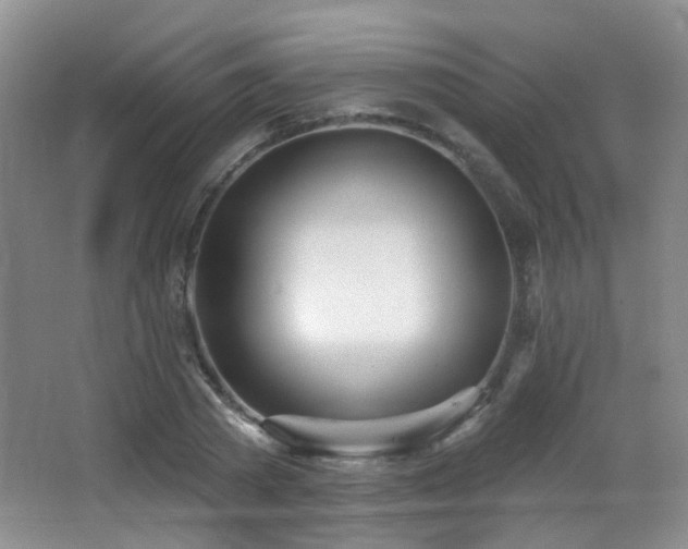 X0000066990785200603241315