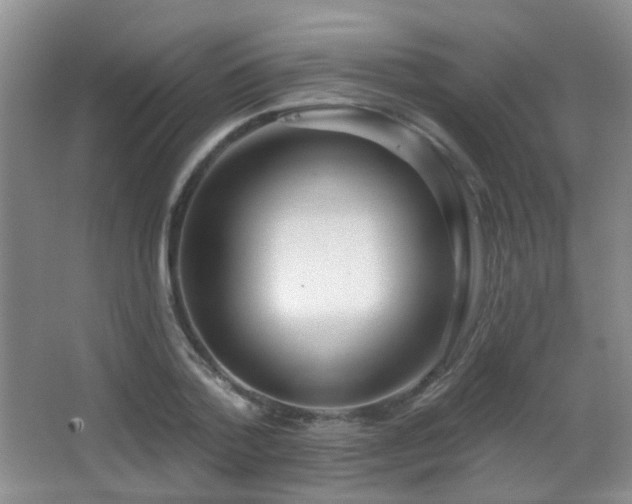 X0000066990788200603241315