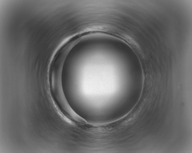 X0000066990792200603241315