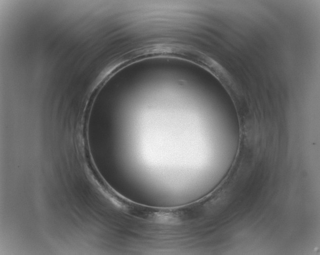X0000066990794200603241315