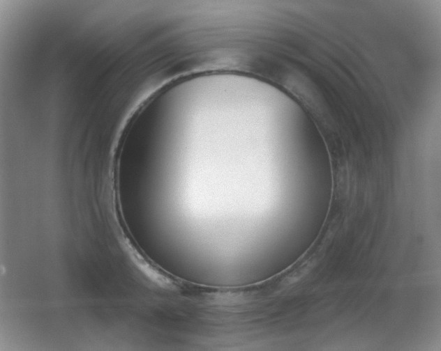 X0000066990800200603241315