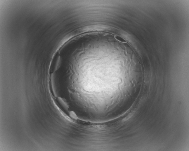 X0000066990802200603241315