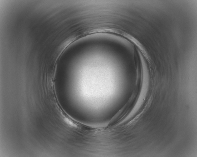 X0000066990809200603241314