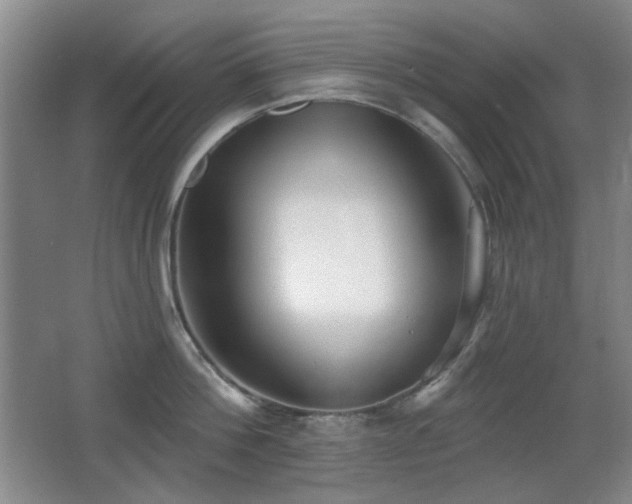 X0000066990812200603241314