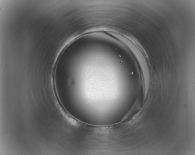 X0000066990813200603241314
