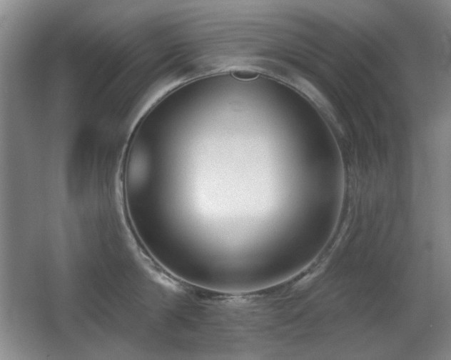 X0000066990814200603241314