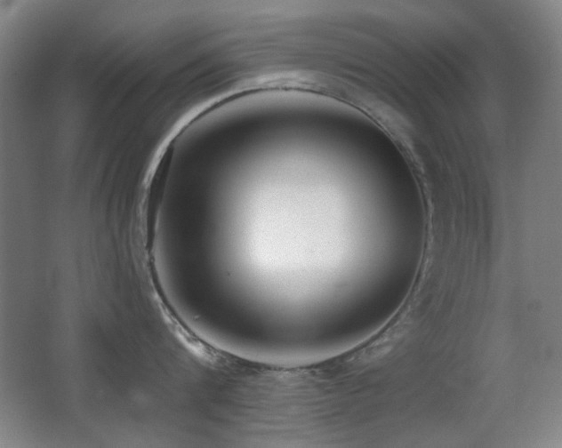 X0000066990816200603241314
