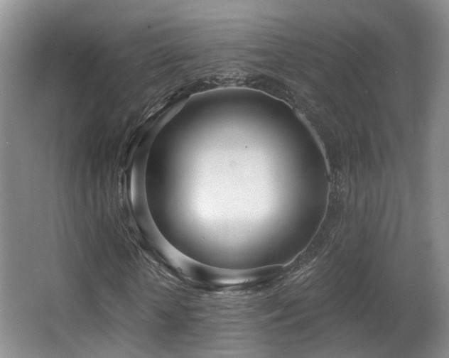 X0000066990818200603241314