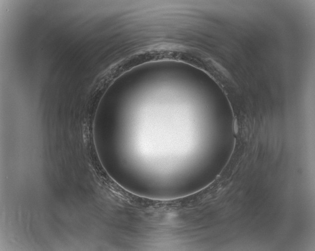 X0000066990821200603241314