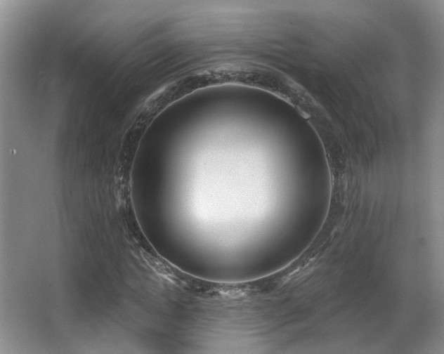 X0000066990822200603241314