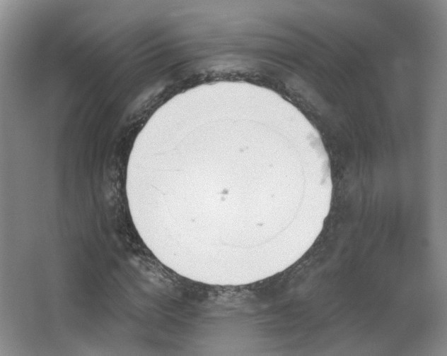 X0000066990824200603241314
