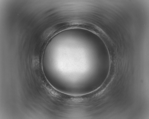 X0000066990825200603241314