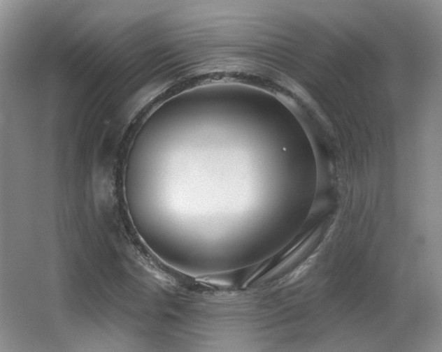 X0000066990826200603241314