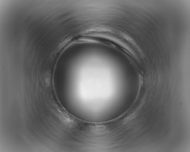 X0000066990833200603241314