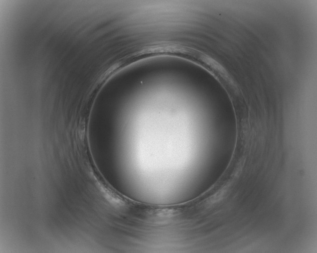 X0000066990841200603241314