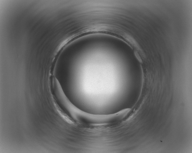 X0000066990842200603241314