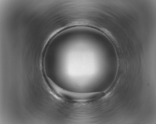X0000066990846200603241314