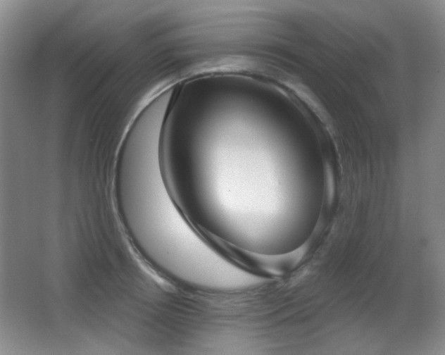 X0000066990850200603241314