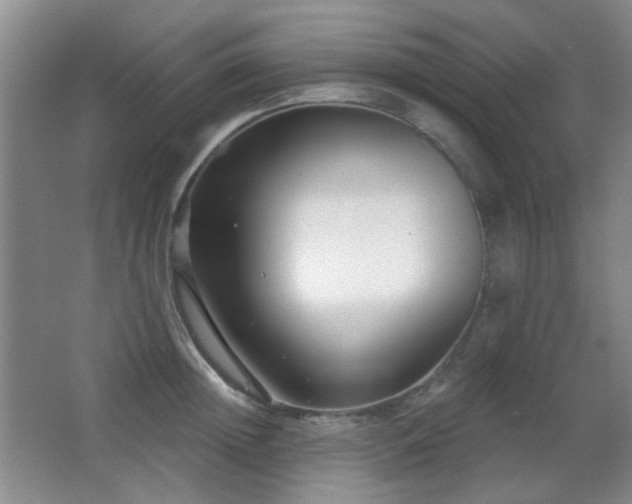 X0000066990852200603241314