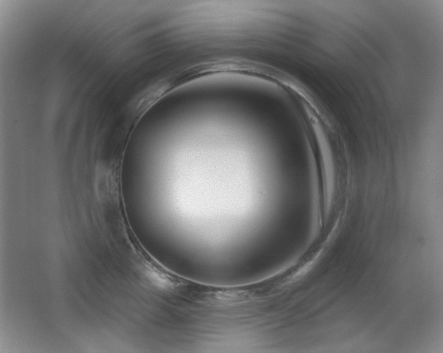 X0000066990857200603241314