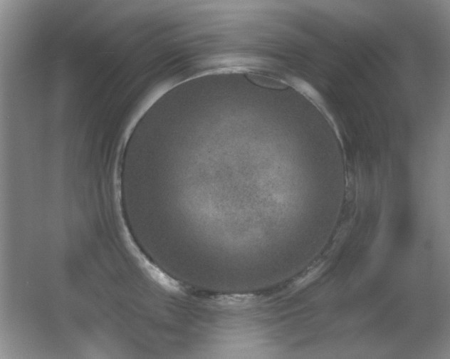X0000066990859200603241314