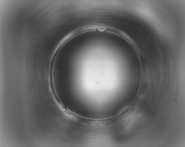 X0000066990861200603241314