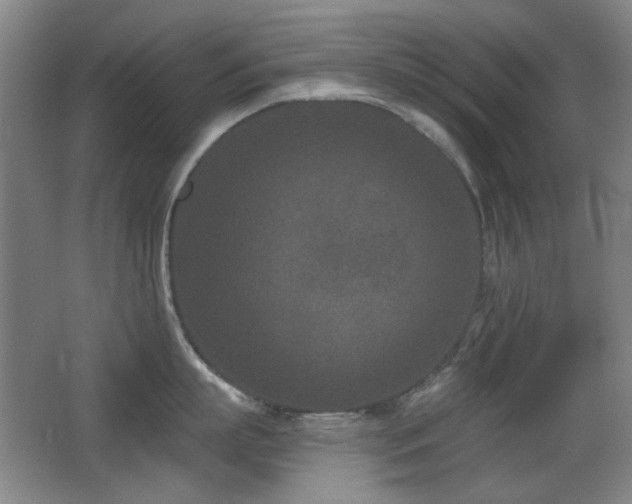 X0000066990863200603241314